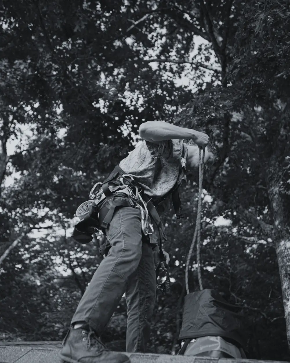 Roofer in a safety harness walking a roof under fir trees