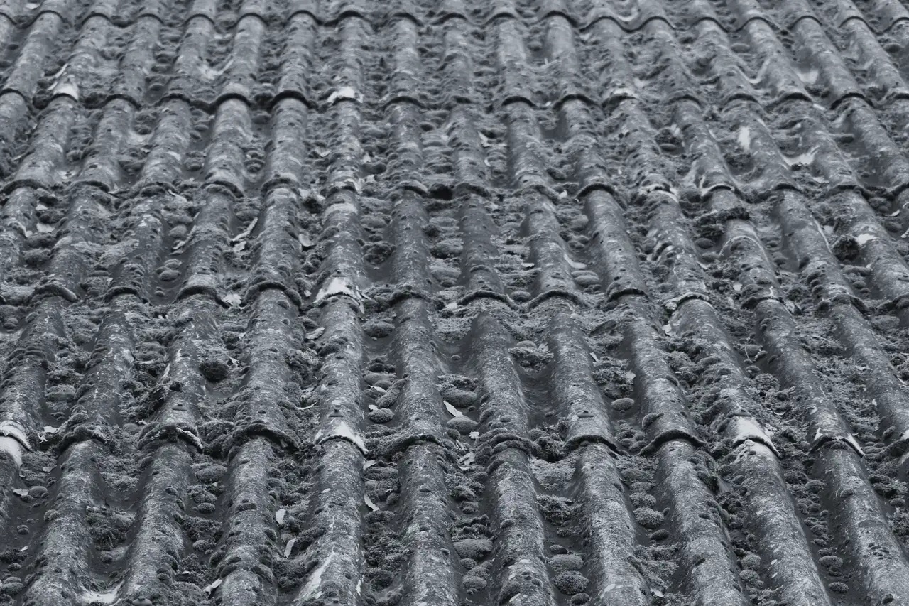 Before: old roof covered in moss