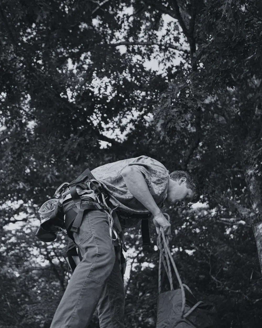 Roofer in a harness securing gear on a steep roof under fir trees